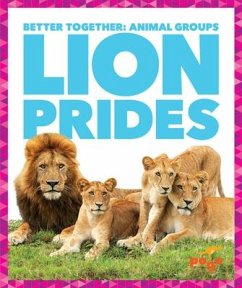 Lion Prides - Kenney, Karen