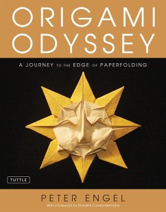 Origami Odyssey - Engel, Peter