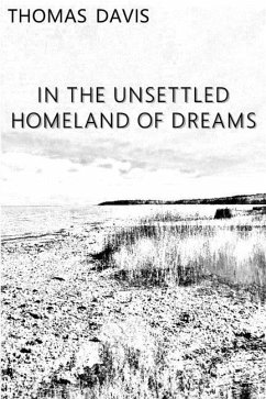 In the Unsettled Homeland of Dreams - Davis, Thomas