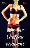 Von der Ehefrau erwischt (eBook, ePUB)