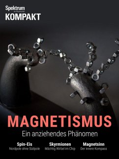 Cover Spektrum Kompakt - Magnetismus (eBook, PDF)