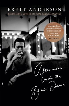 Afternoons with the Blinds Drawn (eBook, ePUB) - Anderson, Brett