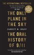 The Only Plane in the Sky (eBook, ePUB) - Bild 1