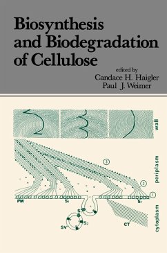 Cover Biosynthesis and Biodegradation of Cellulose (eBook, PDF)