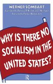 Why is There No Socialism In the United States (eBook, PDF)