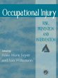 Occupational Injury (eBook, PDF) - Bild 1