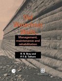 Old Waterfront Walls (eBook, PDF)