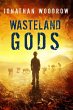 Wasteland Gods (eBook, ePUB) - Bild 1