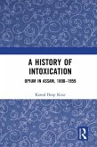 A History of Intoxication (eBook, PDF)