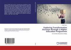Exploring Transformative Journeys through a Higher Education Programme