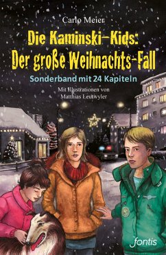 Die Kaminski-Kids: Der große Weihnachts-Fall - Meier, Carlo