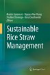 Sustainable Rice Straw Management - Bild 1