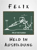 Felix - Held in Ausbildung (eBook, ePUB)
