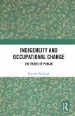 Indigeneity and Occupational Change (eBook, PDF)