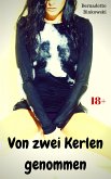 Von zwei Kerlen genommen (eBook, ePUB)