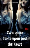 Zwei geile Schlampen und die Faust (eBook, ePUB)