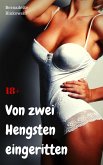 Von zwei Hengsten eingeritten (eBook, ePUB)