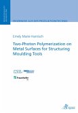 Two-Photon Polymerization on Metal Surfaces for Structuring Moulding Tools (eBook, PDF)