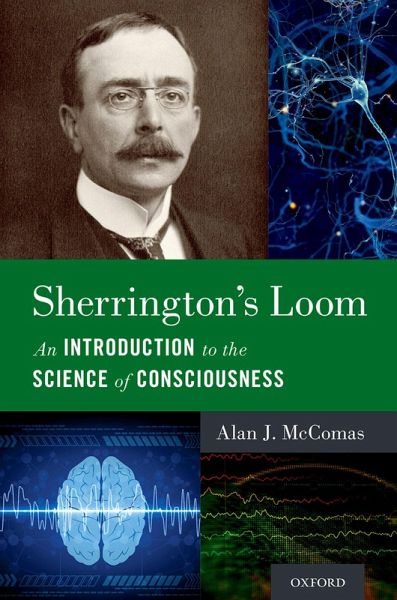 Sherrington's Loom (eBook, ePUB) Sherrington's Loom (eBook, ePUB)