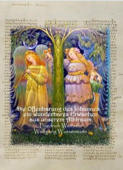 Die Offenbarung des Johannes - ein wunderbares Erwachen aus unserem Albtraum (eBook, ePUB) - Wassermann, Wolfgang