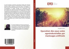 Epuration des eaux usées agroindustrielles par marécages artificiels - Fonkou, Théophile