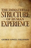 The Immaterial Structure of Human Experience (eBook, ePUB)