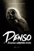 Denso (eBook, ePUB)