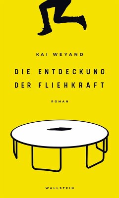 Die Entdeckung der Fliehkraft (eBook, PDF) - Weyand, Kai