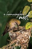 A Hummingbird's Nest (eBook, ePUB)