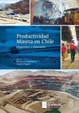 Productividad Minera en Chile (eBook, ePUB)