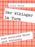 Der Wikinger im Turm (eBook, ePUB)