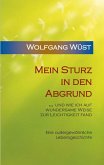 Mein Sturz in den Abgrund (eBook, ePUB) Mein Sturz in den Abgrund (eBook, ePUB)