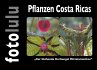 Pflanzen Costa Ricas (eBook, ePUB) - Bild 1