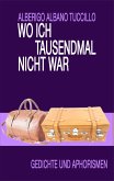Wo ich tausendmal nicht war (eBook, ePUB)