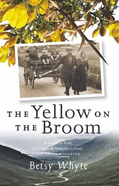 Cover The Yellow on the Broom (eBook, ePUB)