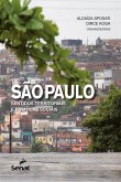 São Paulo: sentidos territoriais e políticas sociais (eBook, ePUB)