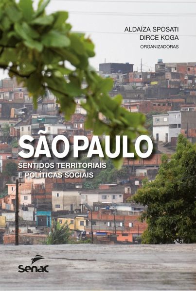 São Paulo: sentidos territoriais e políticas sociais (eBook, ePUB)