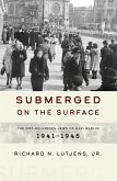 Submerged on the Surface (eBook, ePUB)