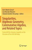 Singularities, Algebraic Geometry, Commutative Algebra, and Related Topics