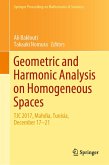Geometric and Harmonic Analysis on Homogeneous Spaces (eBook, PDF)