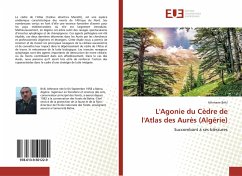 L'Agonie du Cèdre de l'Atlas des Aurès (Algérie) - Briki, Athmane