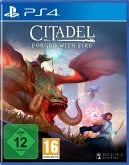Citadel Forged with Fire (Playstation 4)
