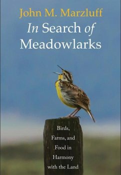In Search of Meadowlarks - Marzluff, John M