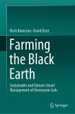 Farming the Black Earth (eBook, PDF)