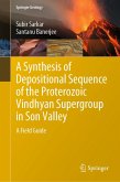 A Synthesis of Depositional Sequence of the Proterozoic Vindhyan Supergroup in Son Valley (eBook, PDF)