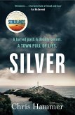 Silver (eBook, ePUB)