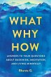 What, Why, How (eBook, ePUB) - Bild 1