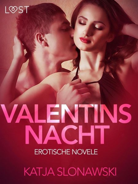 Valentinsnacht: Erotische Novelle (eBook, ePUB)