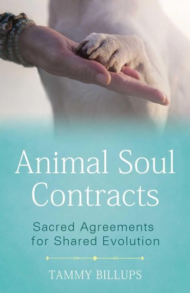 Animal Soul Contracts (eBook, ePUB) Animal Soul Contracts (eBook, ePUB)