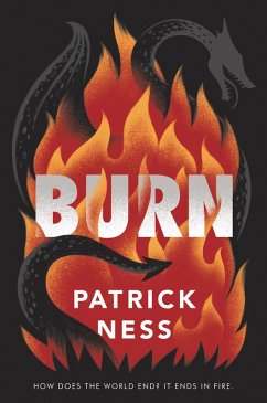 Burn (eBook, ePUB) - Ness, Patrick